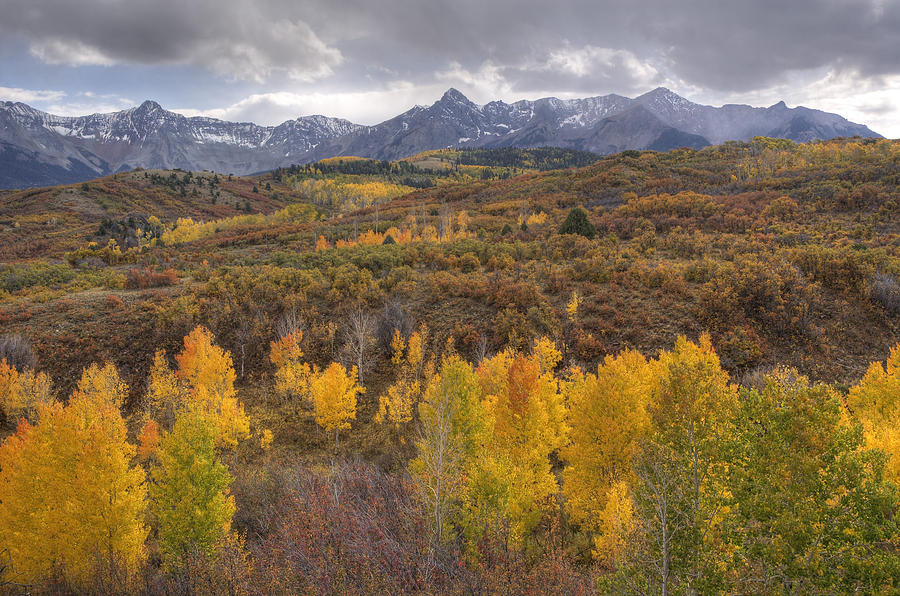 Mount Sneffels Photograph by Rich Ernst - Fine Art America