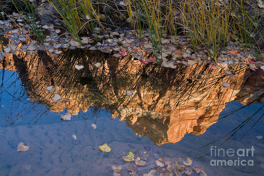 Mount Spry Reflection Photograph by Fred Stearns