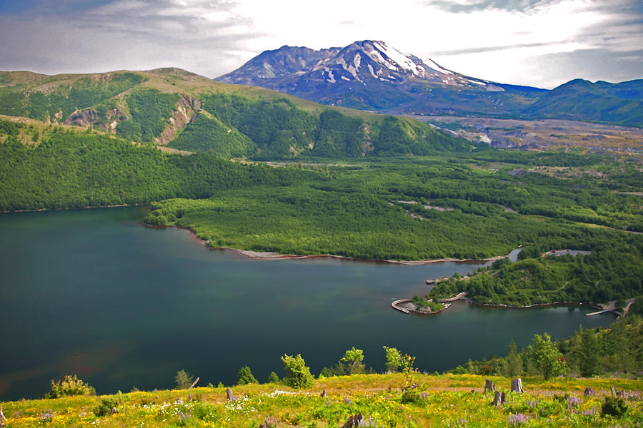Landscape Photograph - Mount St. Helens and Coldwater Lake by Rich Walter