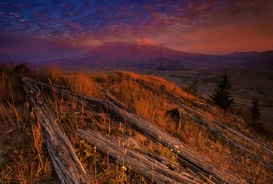 Mount St Helens Photograph by Carlos Rojas