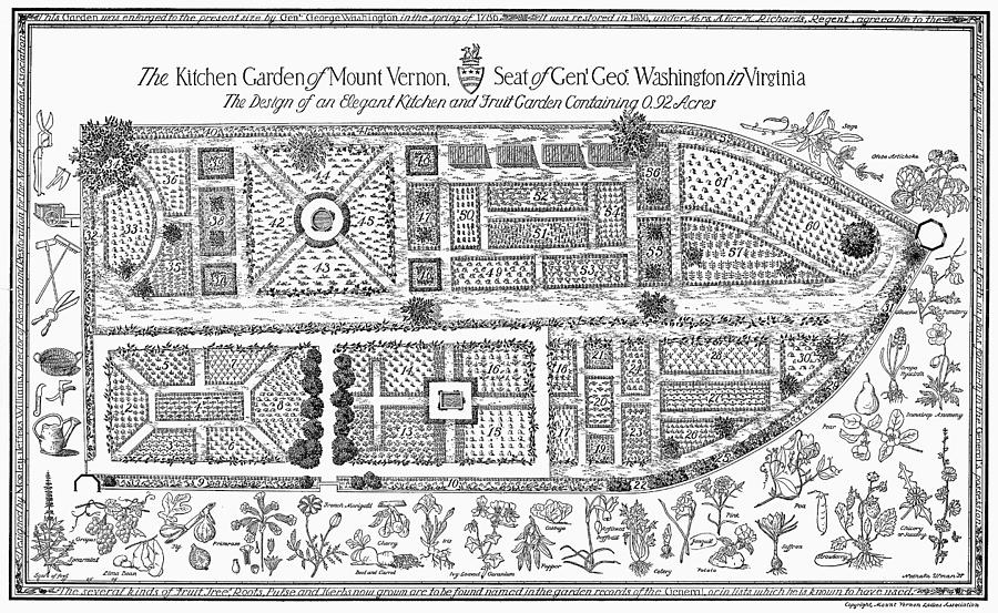 Mount Vernon Garden Diagram Drawing by Granger