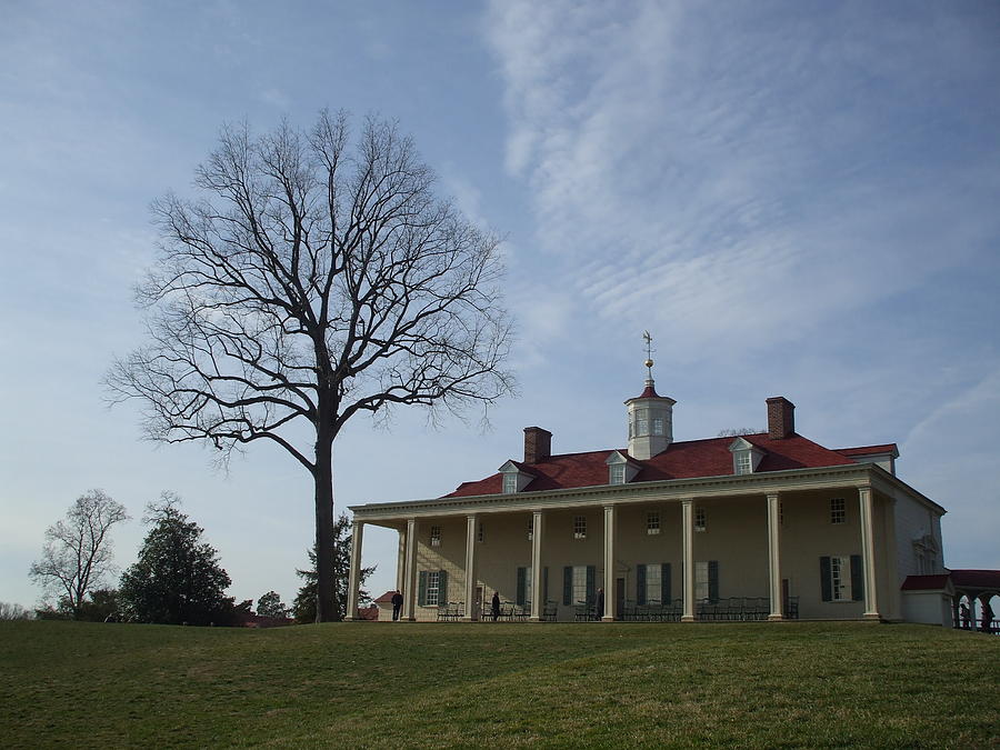 Mount Vernon Photograph by Lisa Collinsworth | Fine Art America