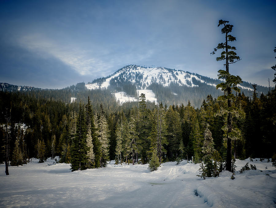 Nature Photograph - Mount Washington Slopes by James Wheeler