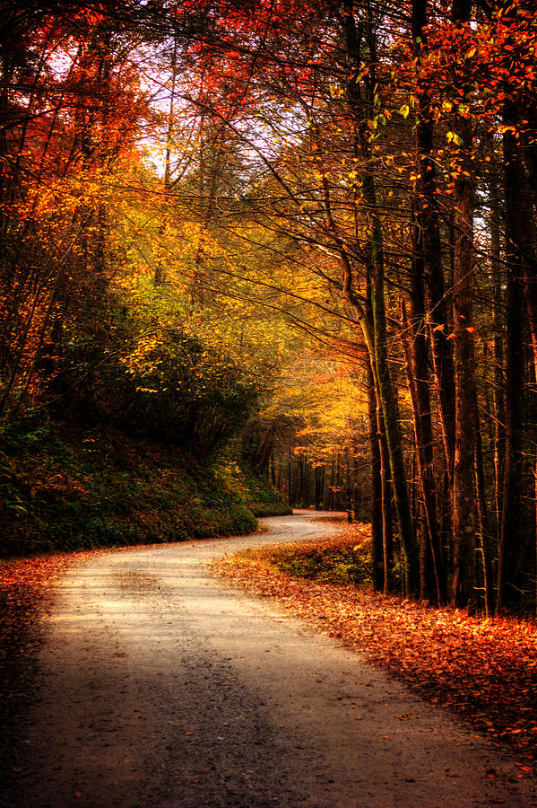 Mountain Back Road in Fall Photograph by Greg and Chrystal Mimbs