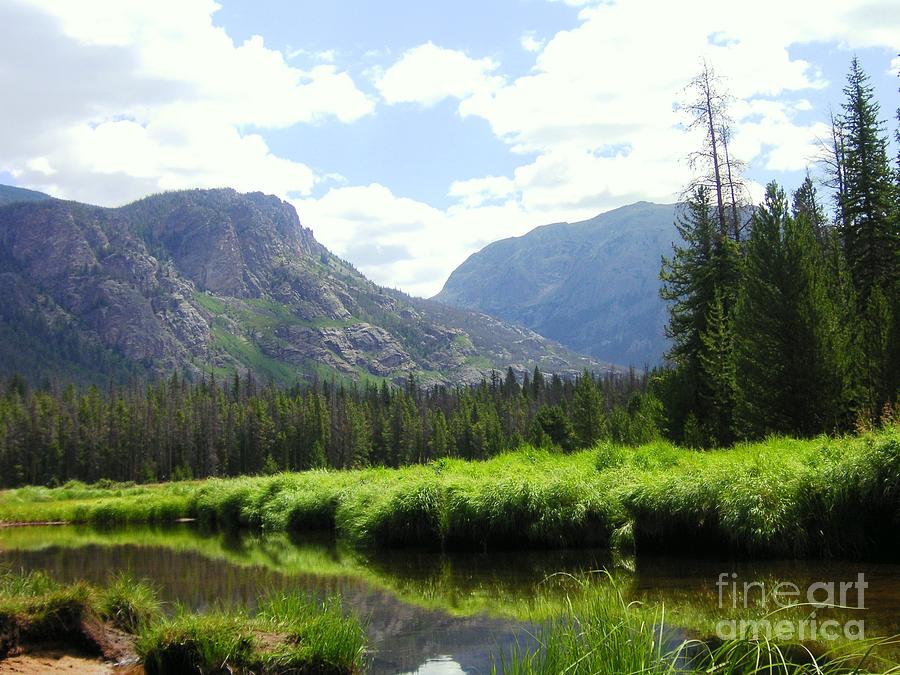 Mountain Photograph - Mountain Beauty by Crystal Miller
