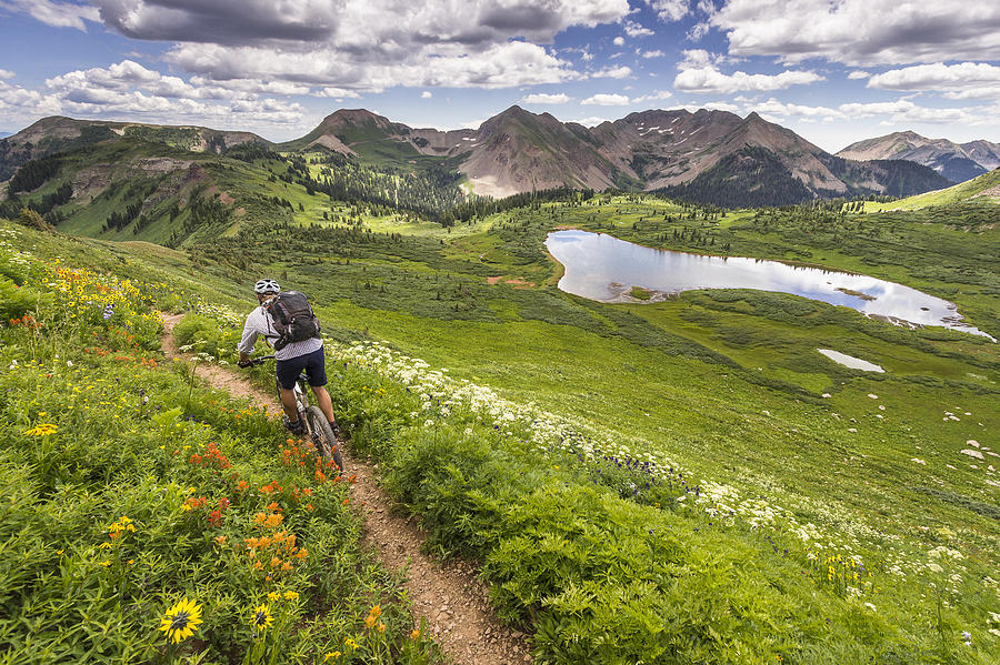 Mountain biker on green trail Photograph by Image Source RF/Â©Whit Richardson