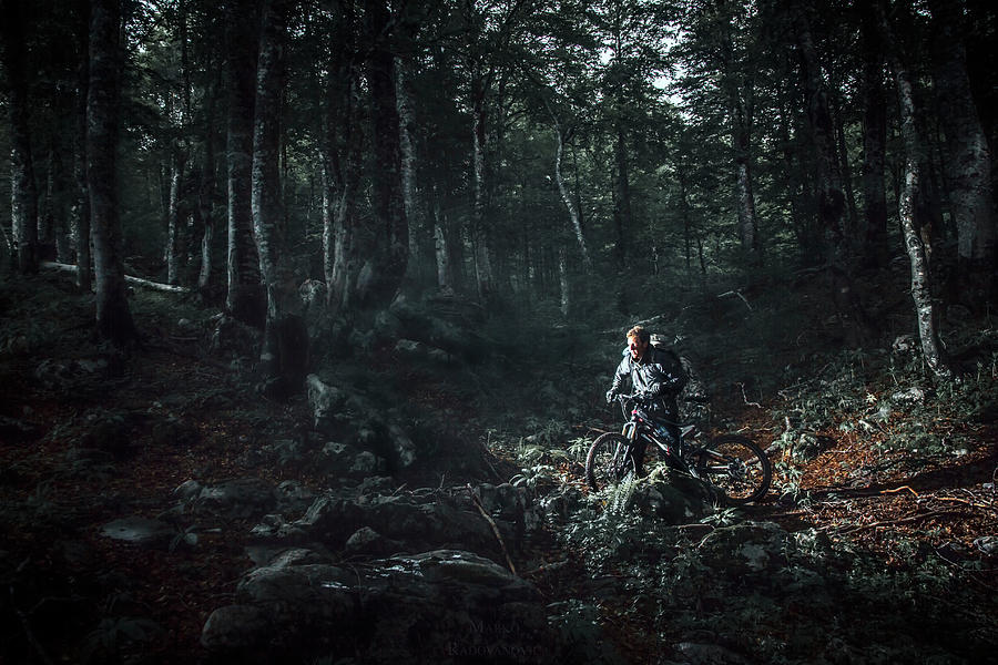 Mountain Biker Pushing Bike In Forest Photograph by Marko Radovanovic ...