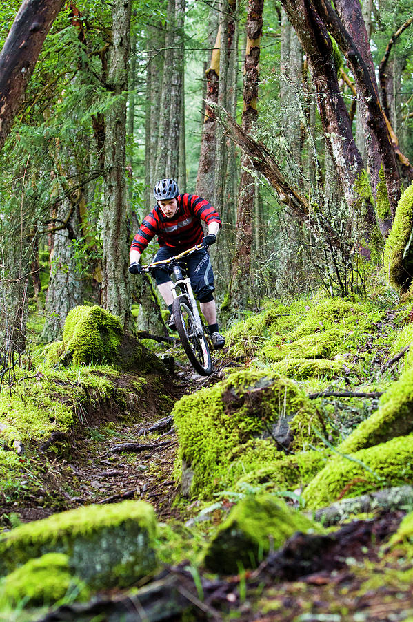 Mountain Biker Rides Moss-covered Photograph by Dan Barham | Fine Art ...