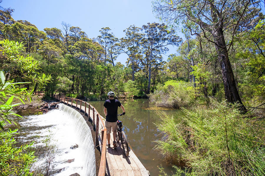 the pines mountain bike trails