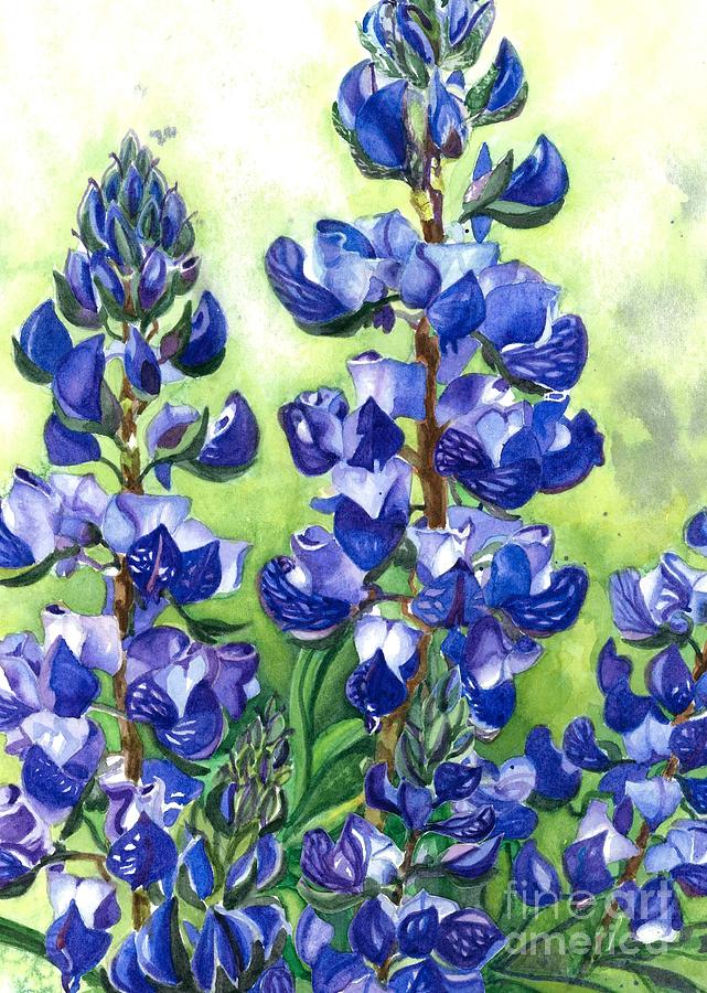 Mountain Blues Lupine Study Painting by Barbara Jewell