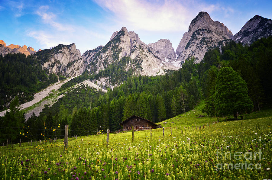 Mountain Cabin in the Alps Austria Photograph by Sabine Jacobs