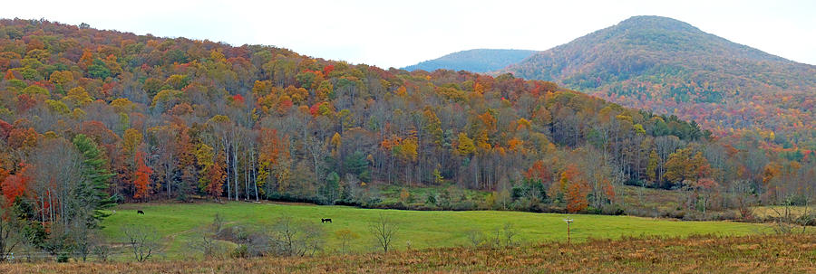 Mountain Country Valley in the Fall Photograph by Duane McCullough