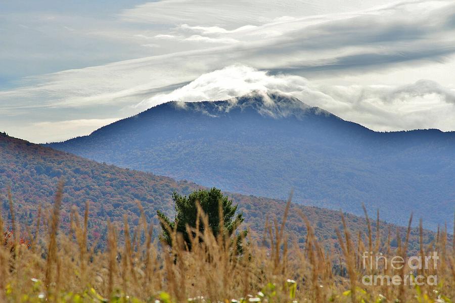 Fall Photograph - Mountain Covering by Butch Phillips