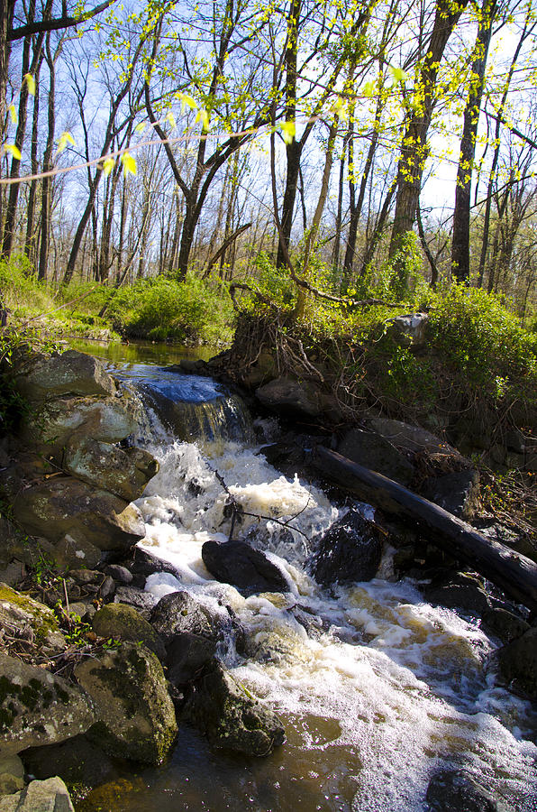 Spring Photograph - Mountain Creek in Spring by Bill Cannon