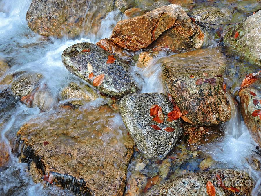 Mountain Creek Photograph by Marcia Lee Jones