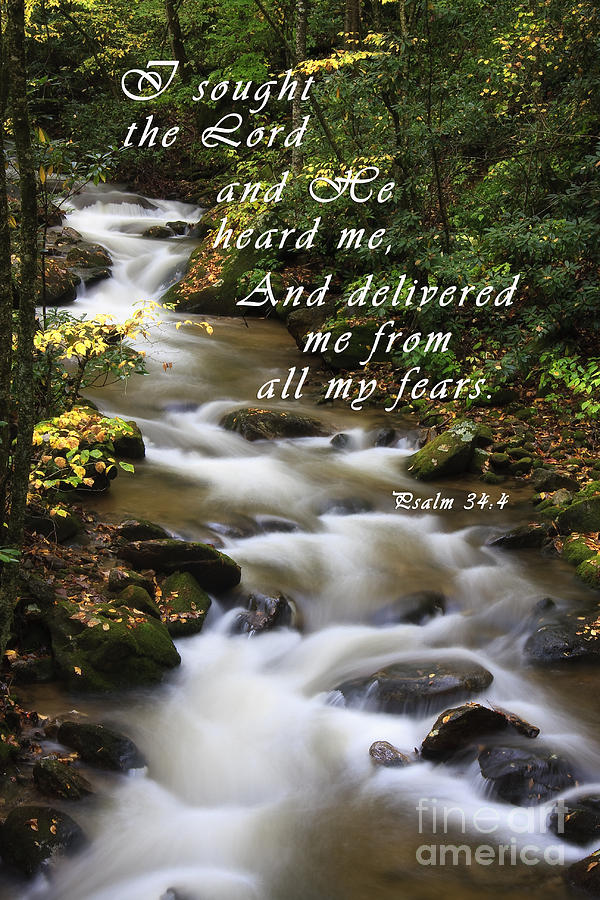 Mountain Creek with Scripture Photograph by Jill Lang