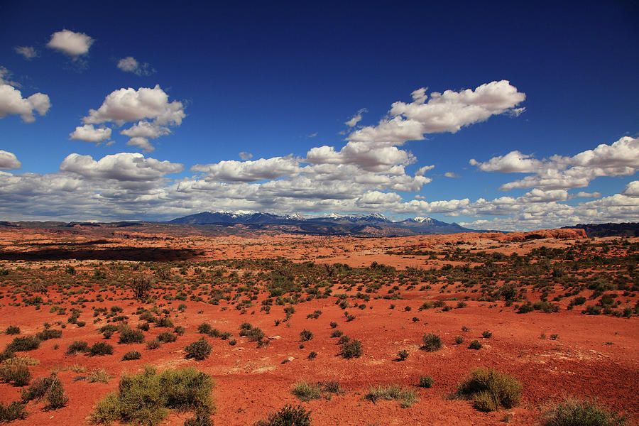 Mountain Desert Photograph by George Diebold