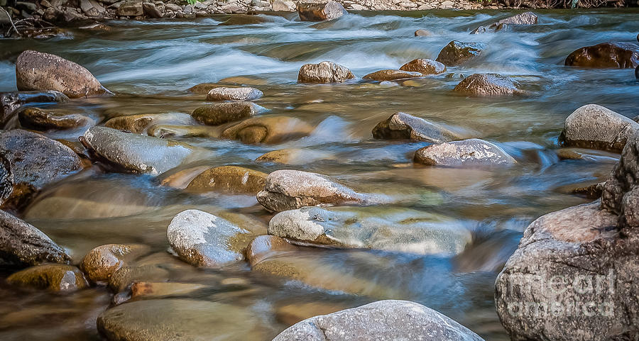 Mountain dolphins Photograph by Lyudmila Prokopenko - Fine Art America