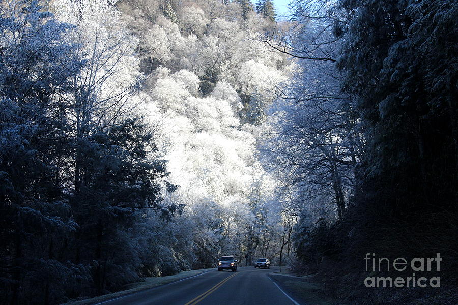 Nature Photograph - Mountain Drive by Jeanne Forsythe