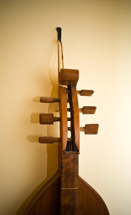 Mountain Dulcimer Neck Photograph by Douglas Barnett - Fine Art America