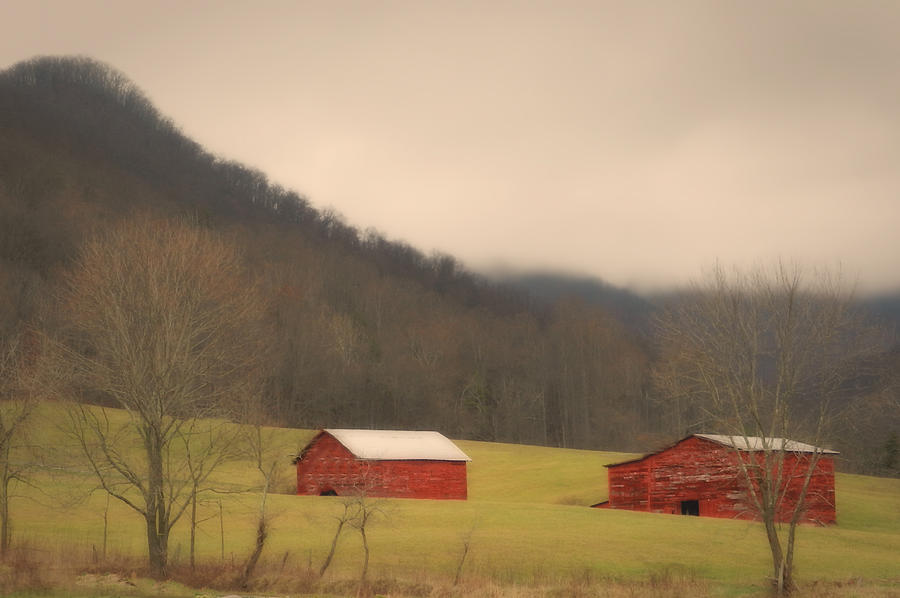 Mountain Farm Misty Morning Photograph by Ben Shields