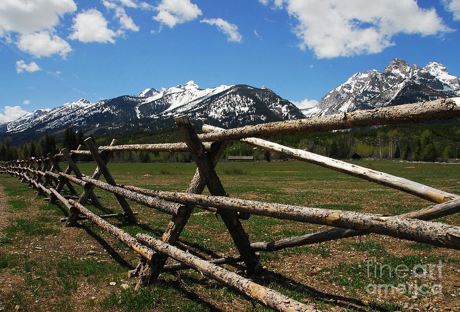 Mountain Fences Photograph by Mel Steinhauer
