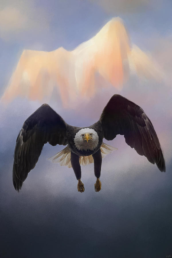 Eagle Photograph - Mountain Flight by Jai Johnson