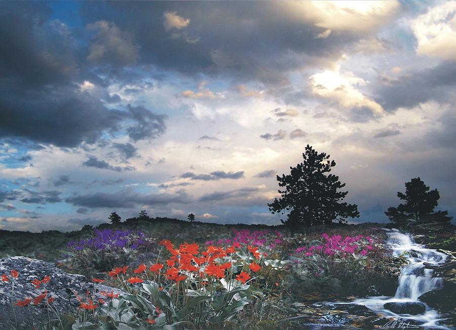 Mountain Flowers Digital Art by Bill Stephens