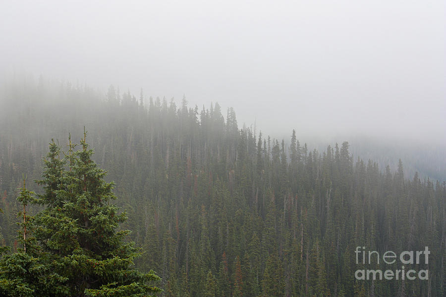 Colorado Rockies Photograph - Mountain Fog by Lisa Porier