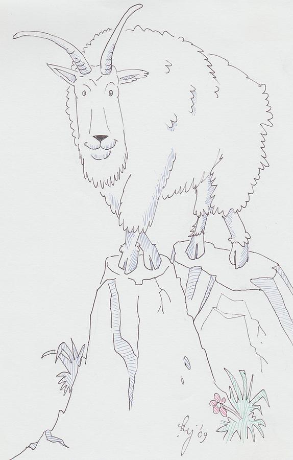 Mountain Goat Cartoon Drawing by Mike Jory - Pixels