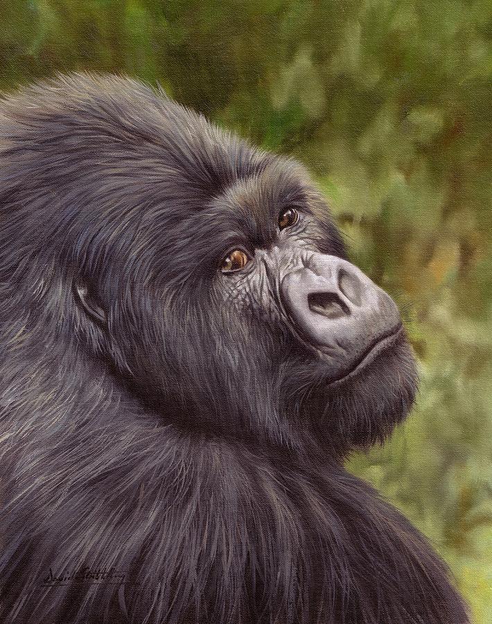 Wildlife Painting - Mountain Gorilla Painting by David Stribbling