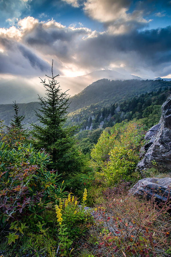 Tree Photograph - Mountain Interlude by Rob Travis
