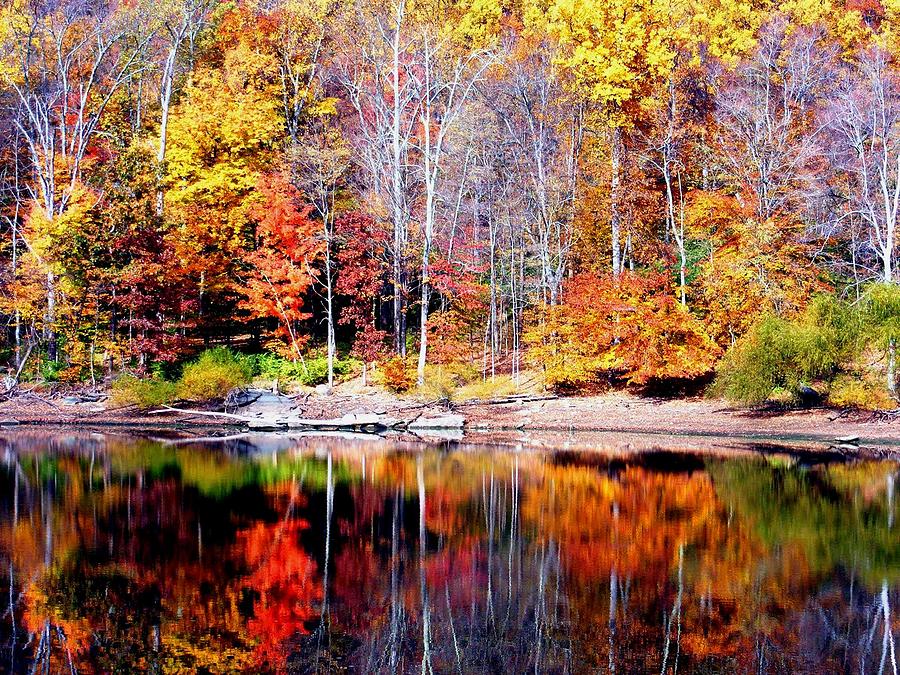 Mountain Lake Colors Photograph By William Fox - Fine Art America