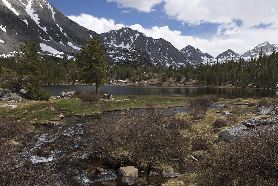 Mountain Lake Photograph by Debra Wales
