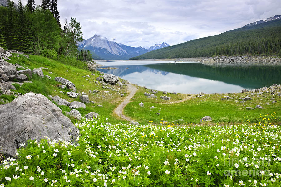 Mountain Photograph - Mountain lake in Jasper National Park Canada by Elena Elisseeva