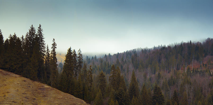 Mountain landscape in Romania Photograph by Vlad Baciu