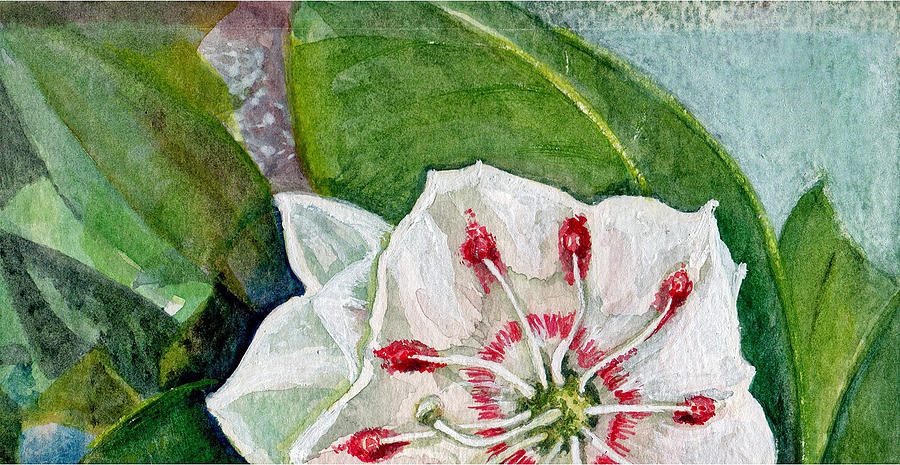 Flowers Still Life Painting - Mountain Laurel Blossom by Elle Smith Fagan
