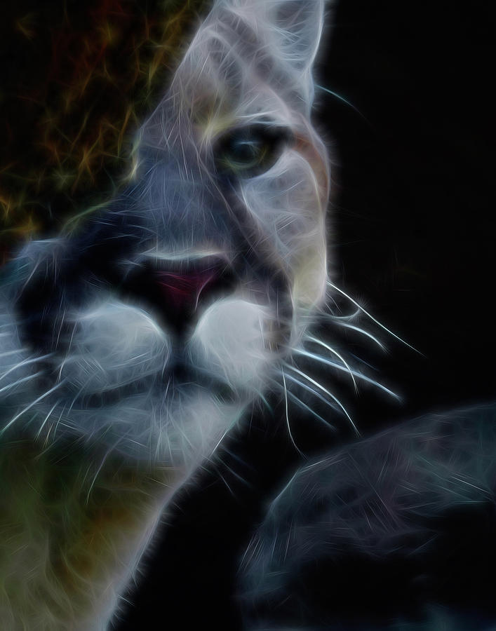 Cat Digital Art - Mountain Lion Digital Art by Ernest Echols