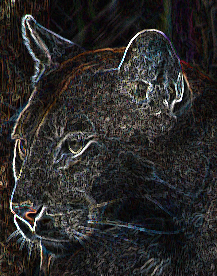 Mountain Lion Digital Art by Margit Gentile - Fine Art America