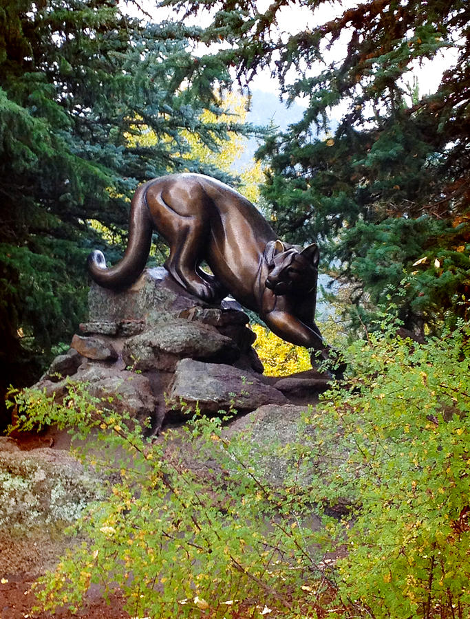 Mountain Lion Sculpture Photograph by Patricia Lintner