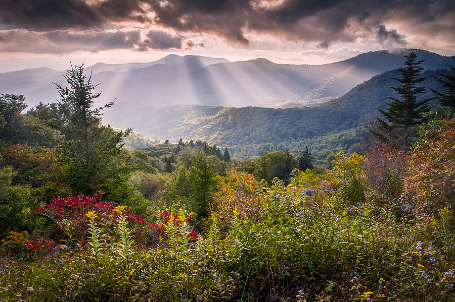Mountain Majesty Photograph by Rob Travis