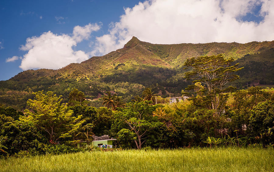 Mountain Mauritian Landscape Photograph by Jenny Rainbow