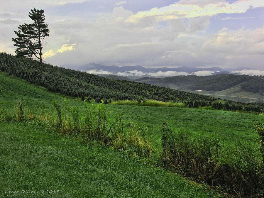 Mountain Photograph - Mountain Meadow by Grace Dillon