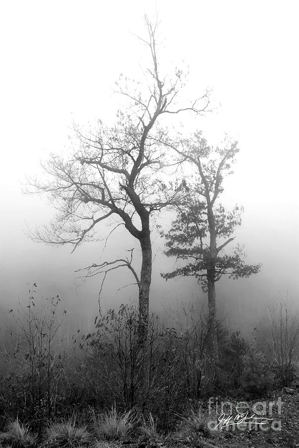 Mountain Mist Photograph by Jeff McJunkin