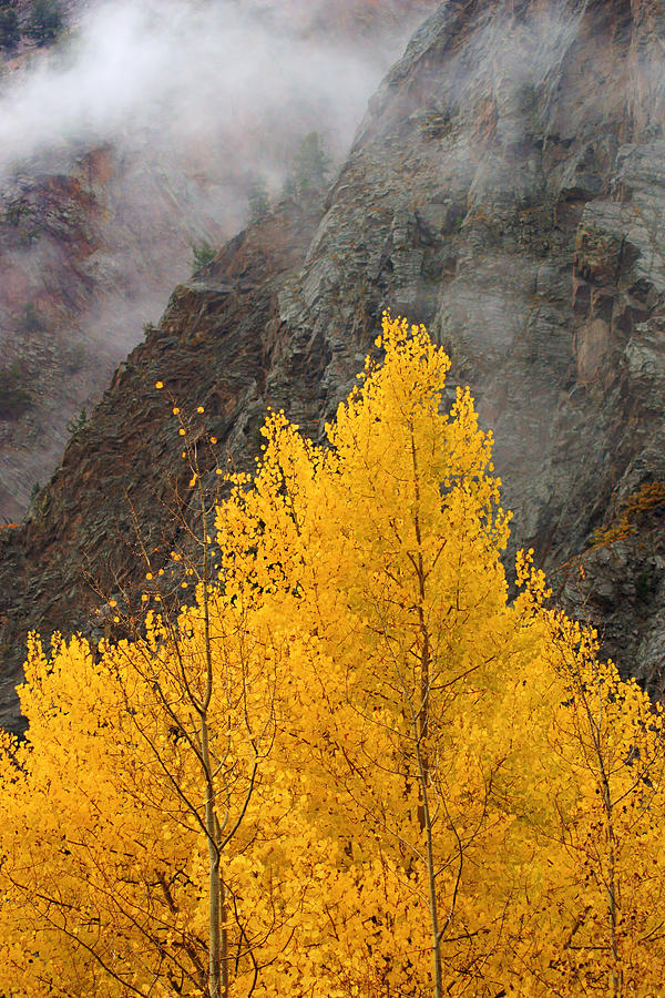 Mountain Mist over Autumn Leaves Photograph by Daniel Woodrum