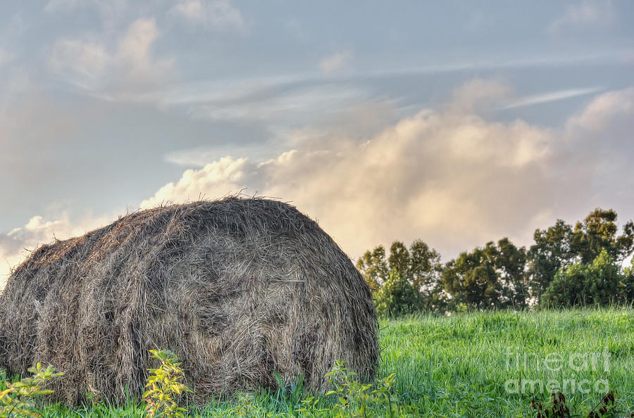 Mountain Pasture Hay Bale Photograph by Ules Barnwell