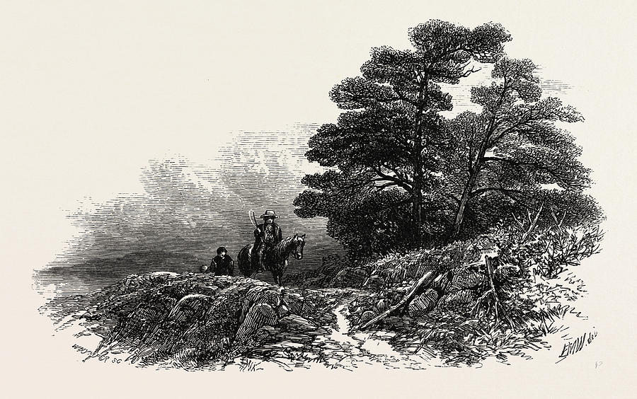 Mountain Path Near Capel Curig, Uk, Britain Drawing by English School ...