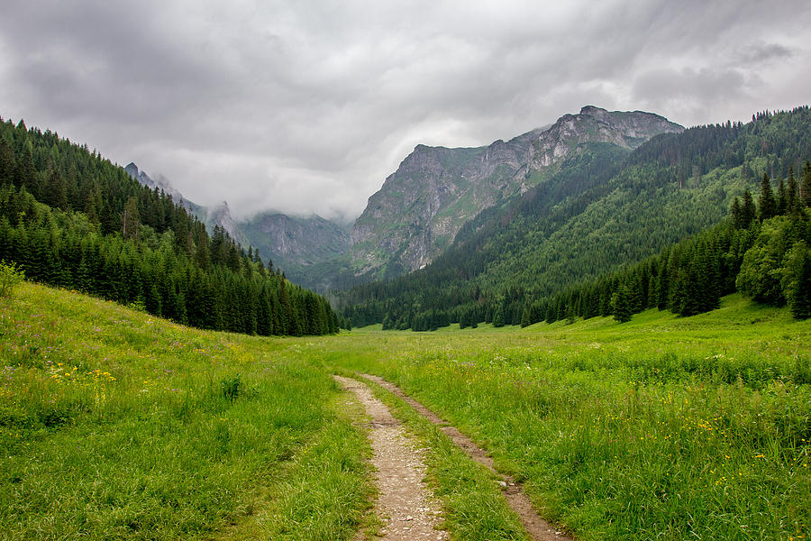 Mountain Path Photograph by Pati Photography