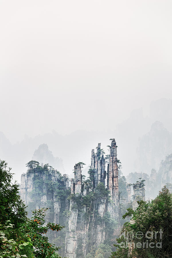 Mountain peaks in fog Zhangjiajie National Forest Park Photograph by Maxim Images Exquisite Prints