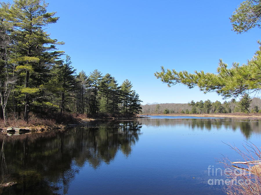 Mountain Pond - Pocono Mountains Photograph by Susan Carella